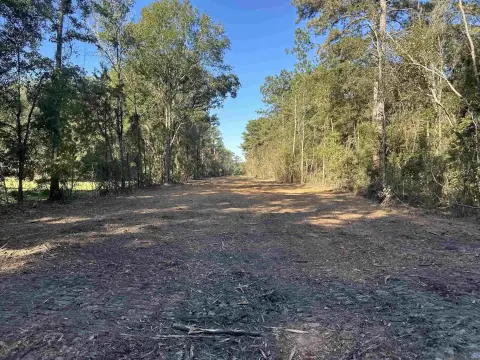 26.85 Acres of Wooded Land