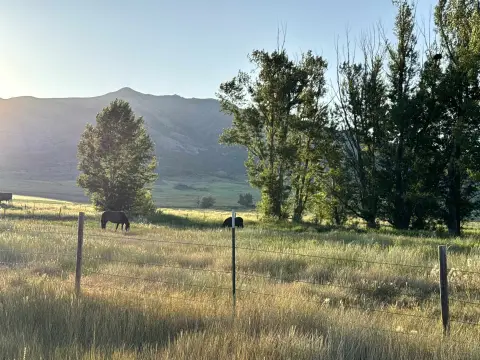 Arimo Land with Creek Access