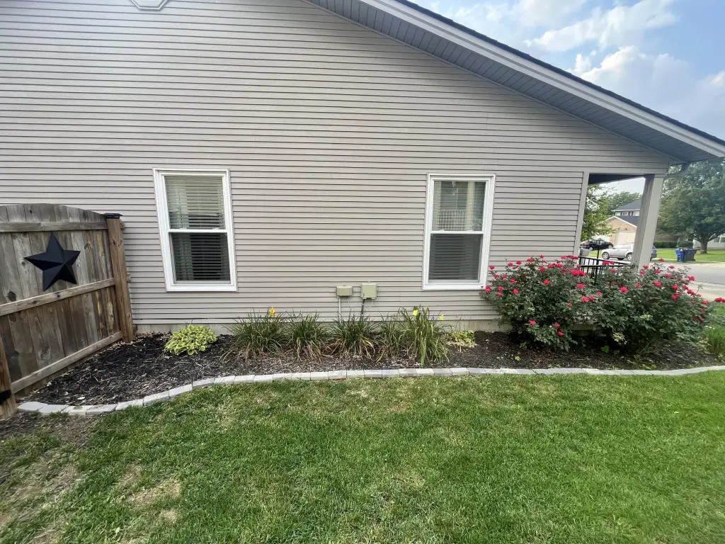 Picture 5