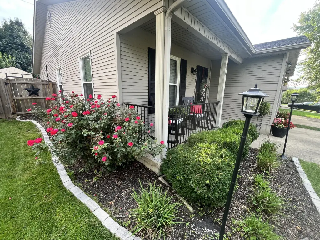 Picture 3
