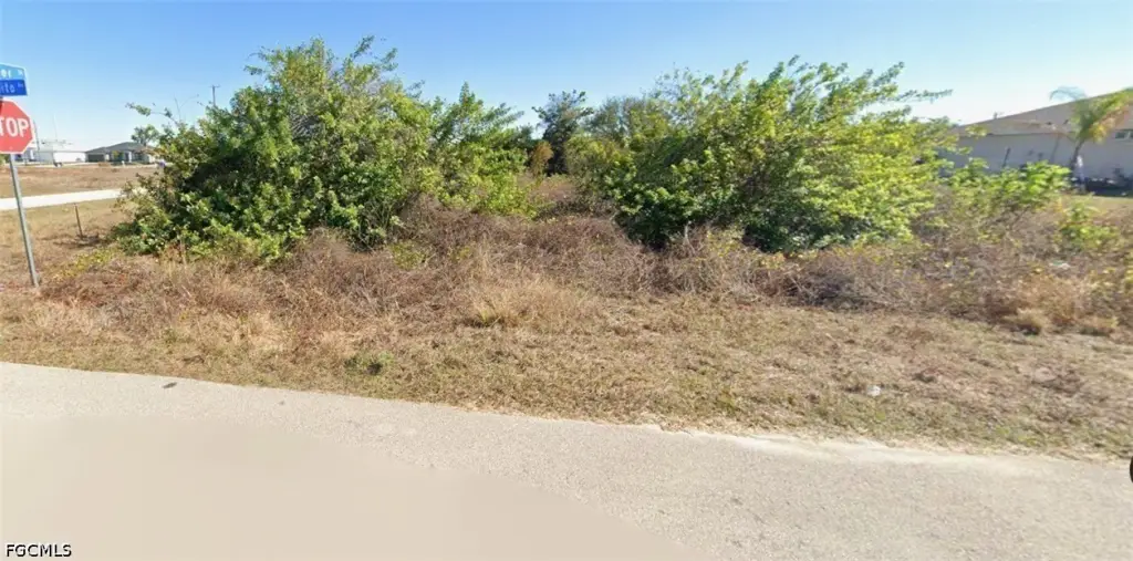 Picture 2