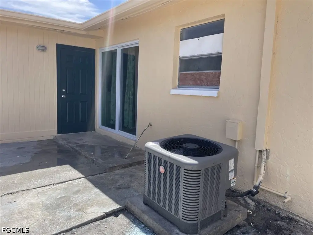 Picture 19