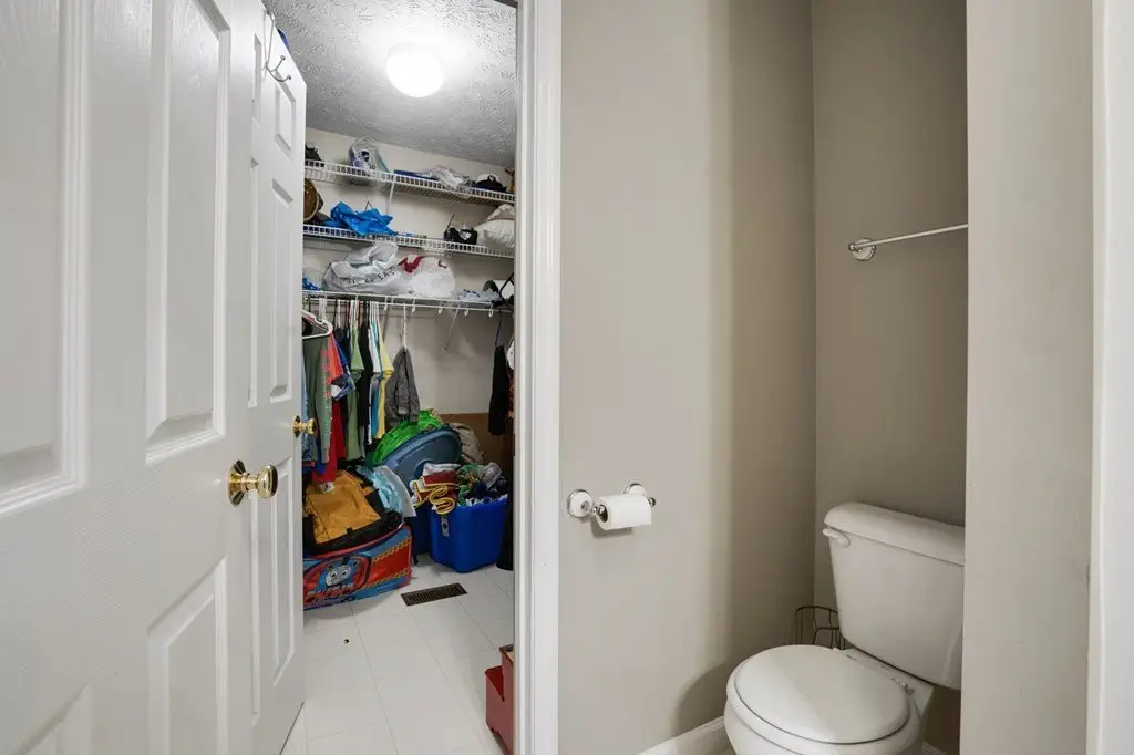 Picture 24