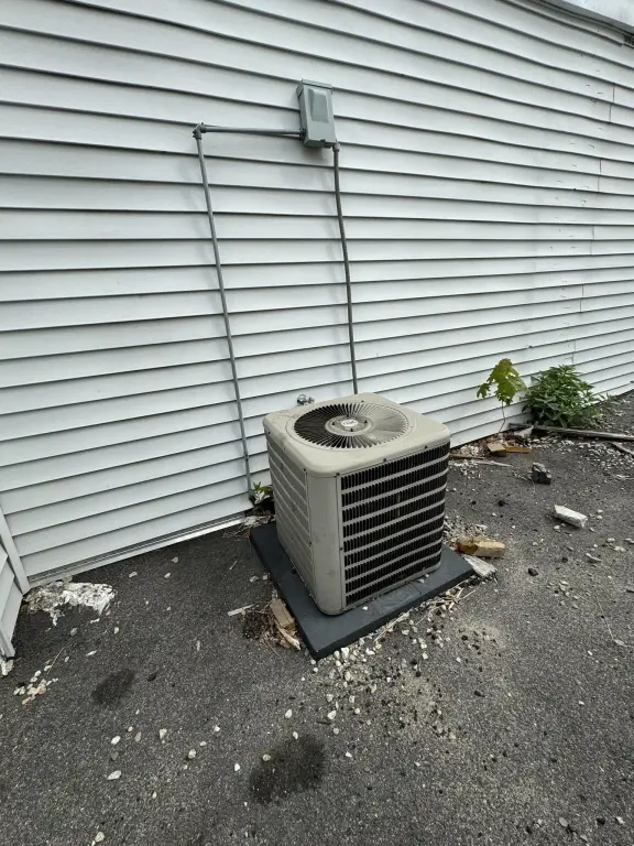 Picture 5