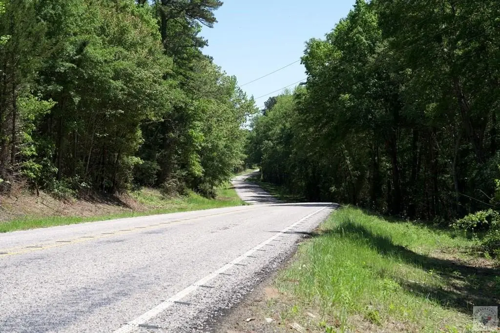 Picture 23