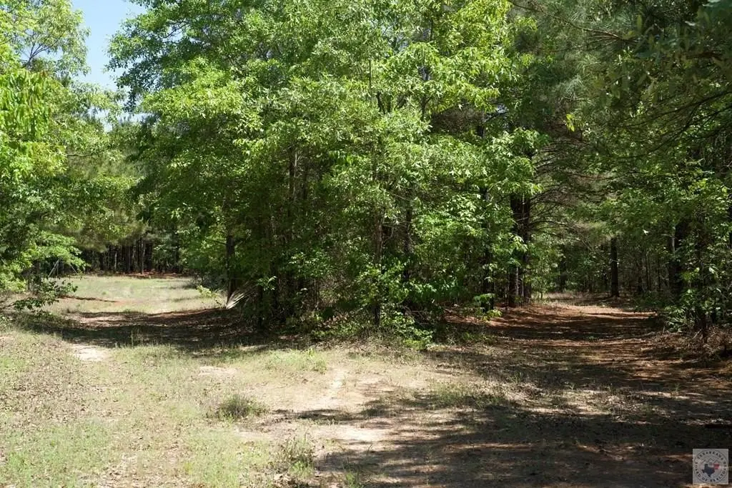 Picture 18