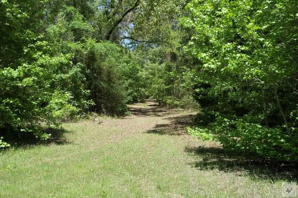 Picture 11