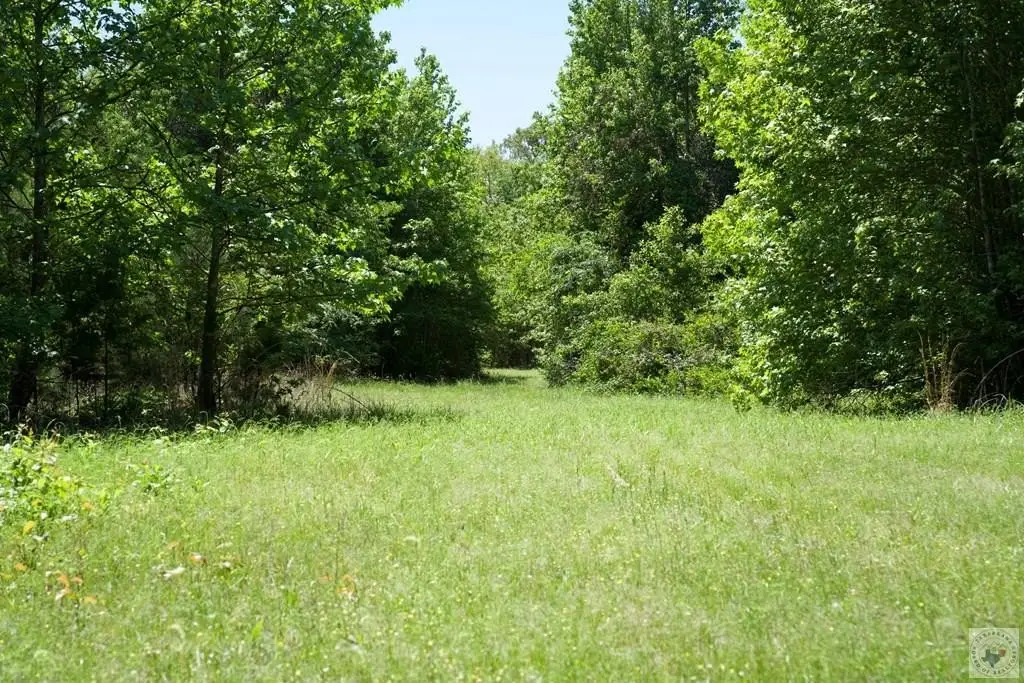 Picture 10