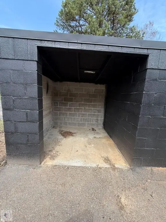 Picture 11
