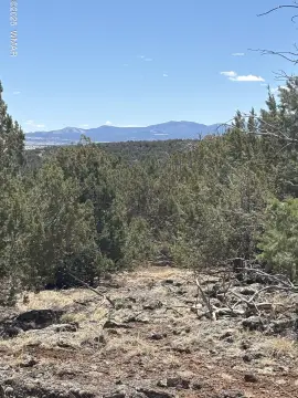 Concho, AZ Land Parcel