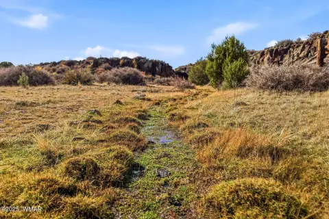 160 Acres in Greer, AZ