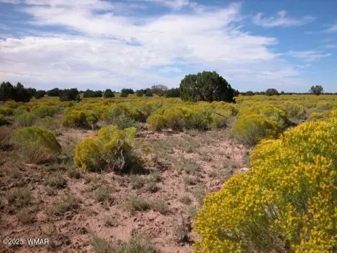 Chambers, AZ Land Opportunity