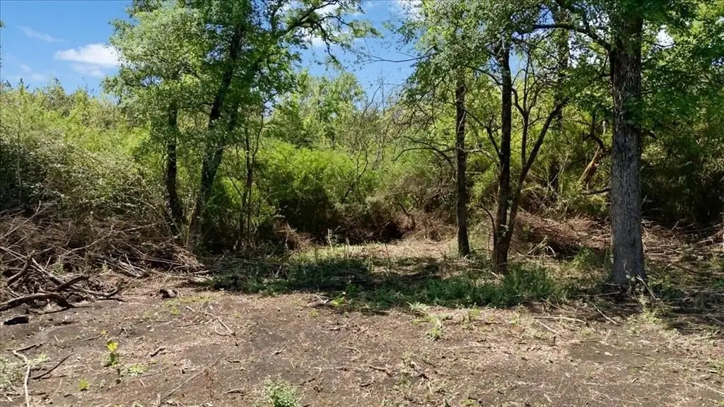 Picture 16