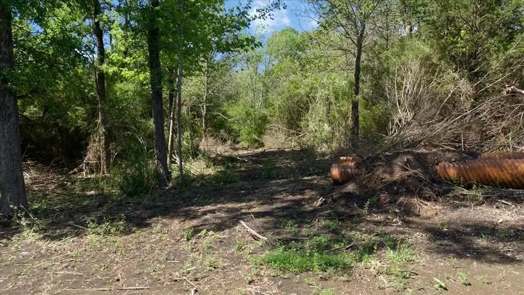 Picture 5