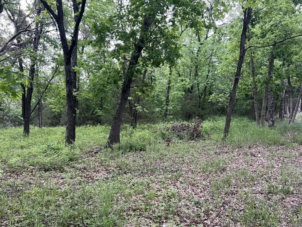 Picture 15