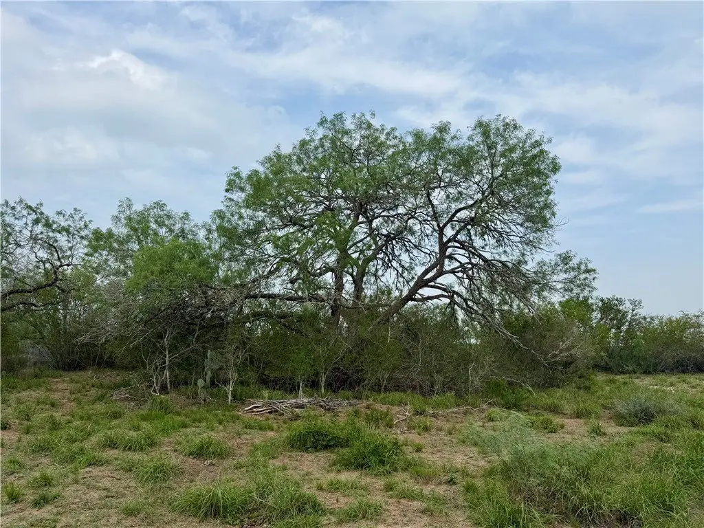 Picture 39