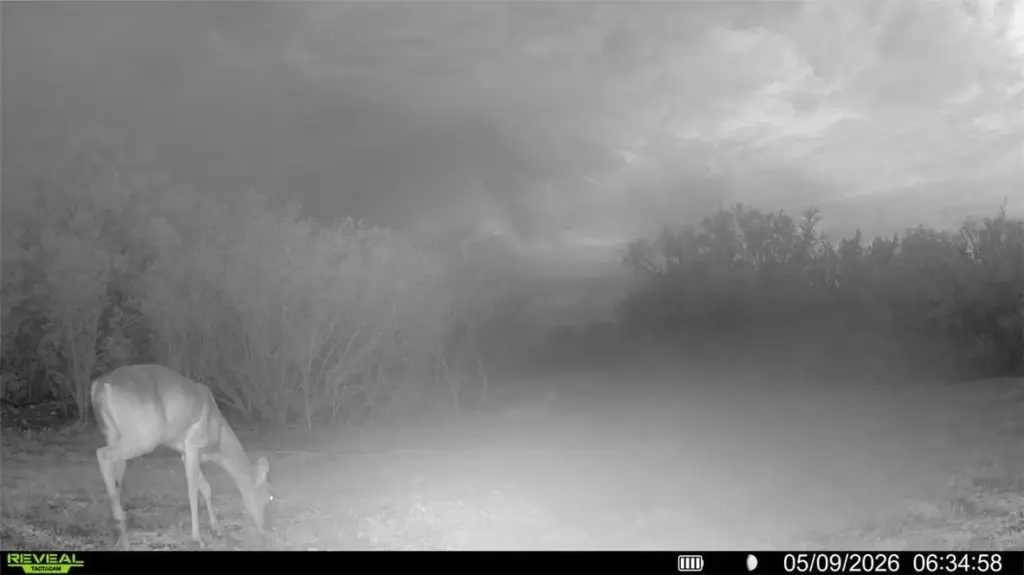 Picture 12