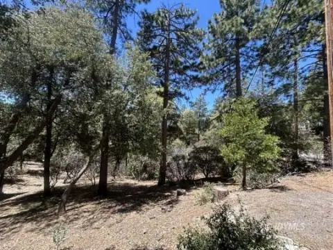 Idyllwild Vacant Land For Sale