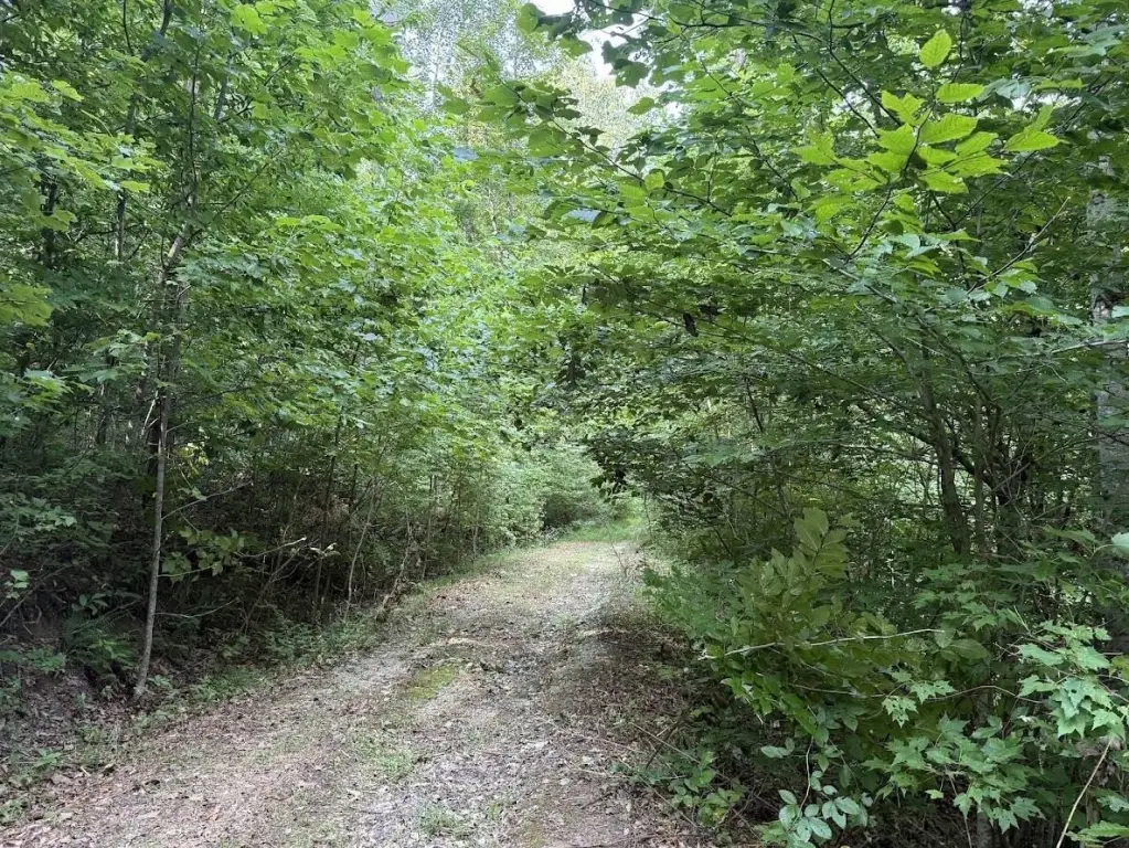 Picture 12