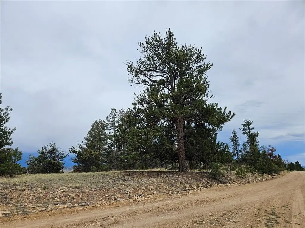 Picture 30