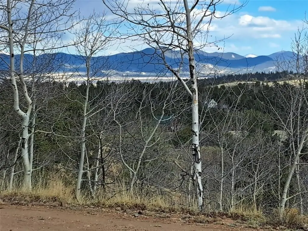 Picture 31