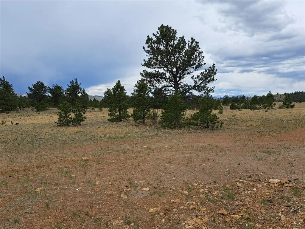 Picture 14