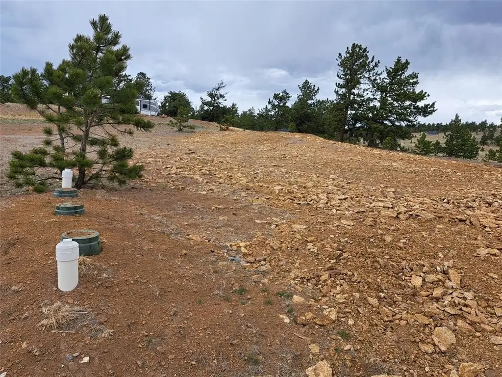 Picture 15