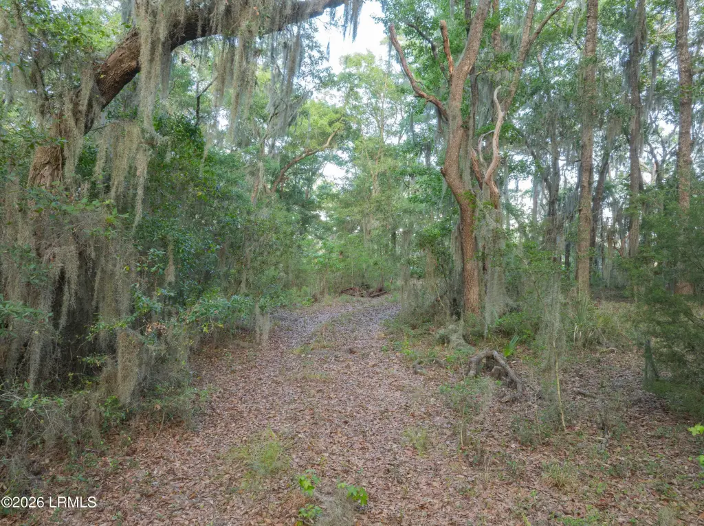 Picture 13