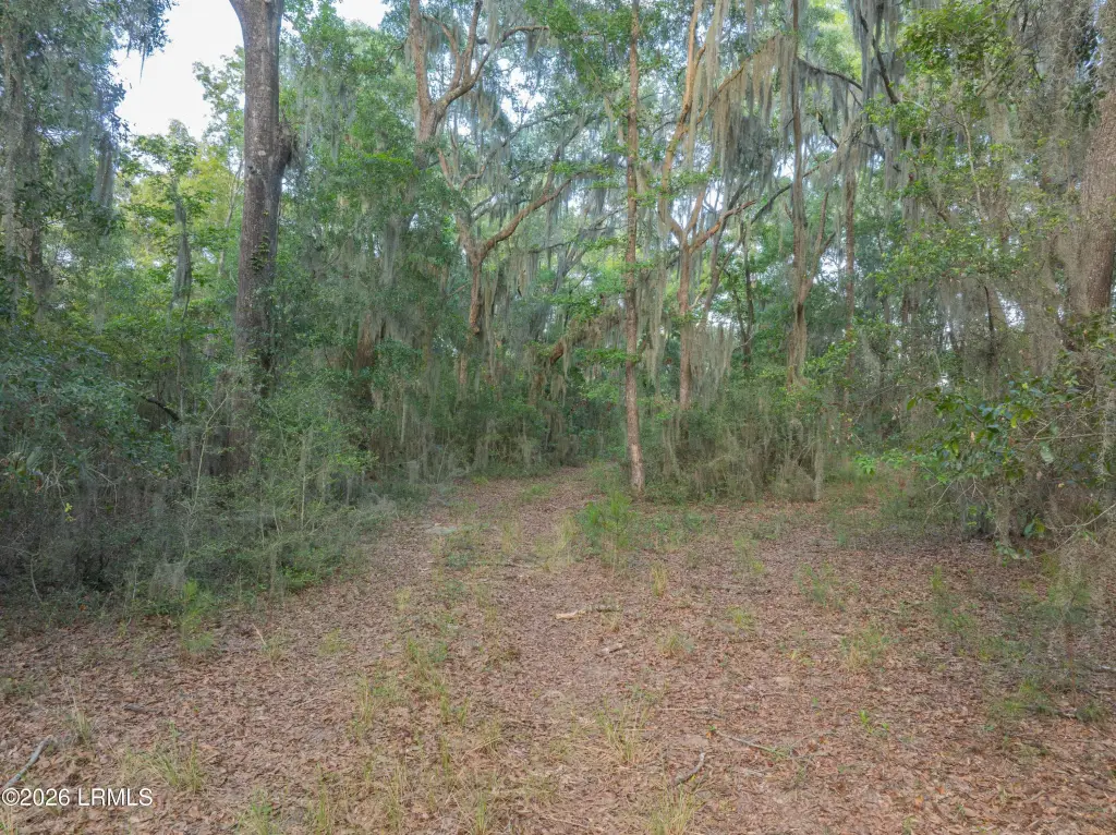 Picture 15