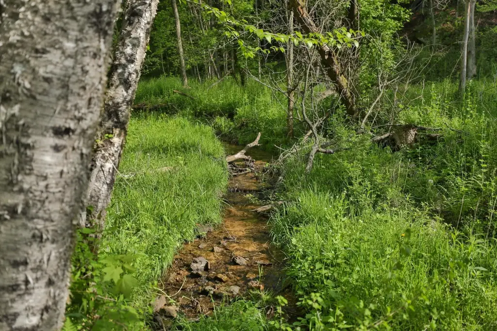Picture 14