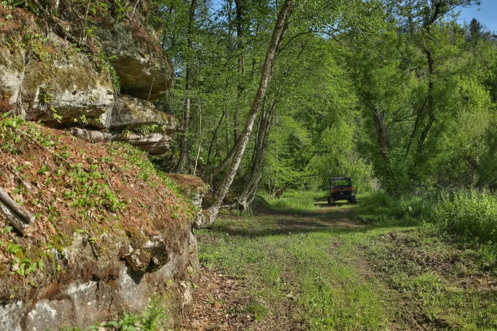 Picture 20