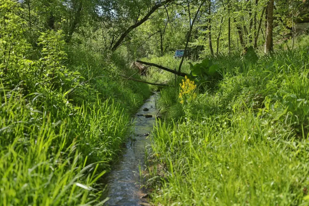 Picture 16