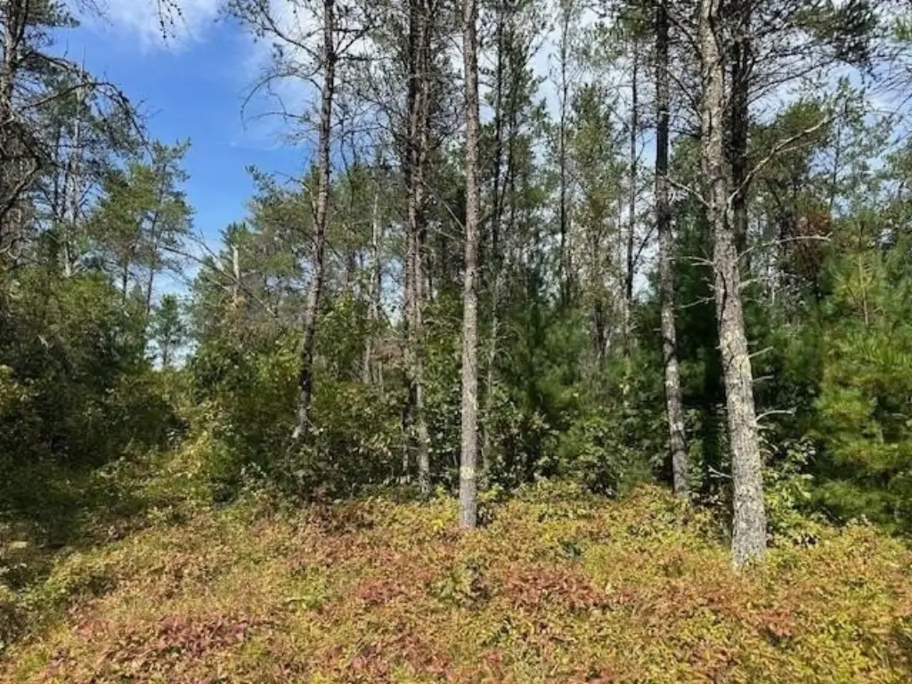 Picture 8