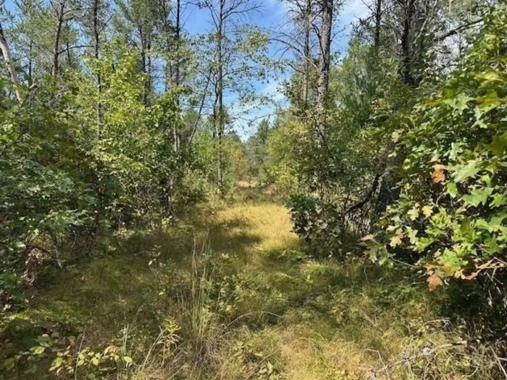 Picture 5