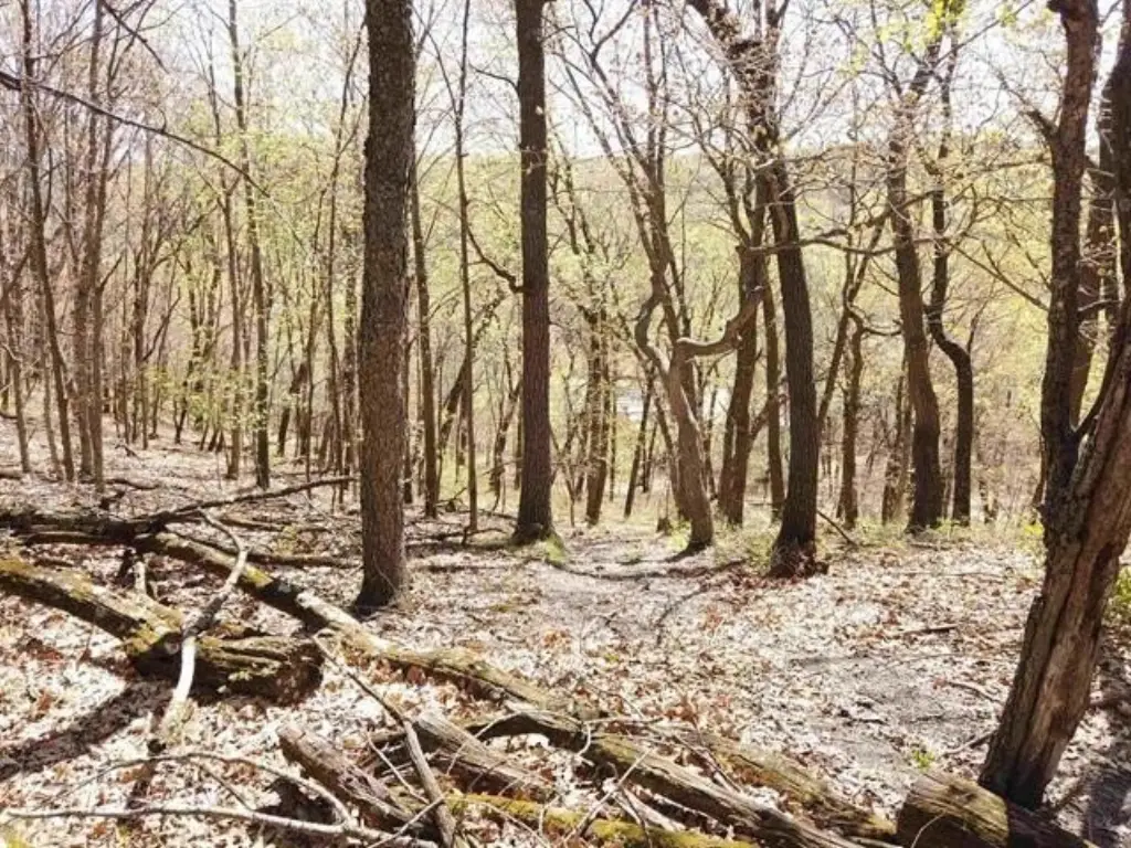 Picture 5