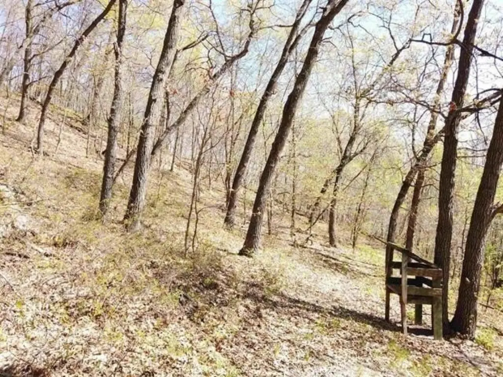 Picture 7