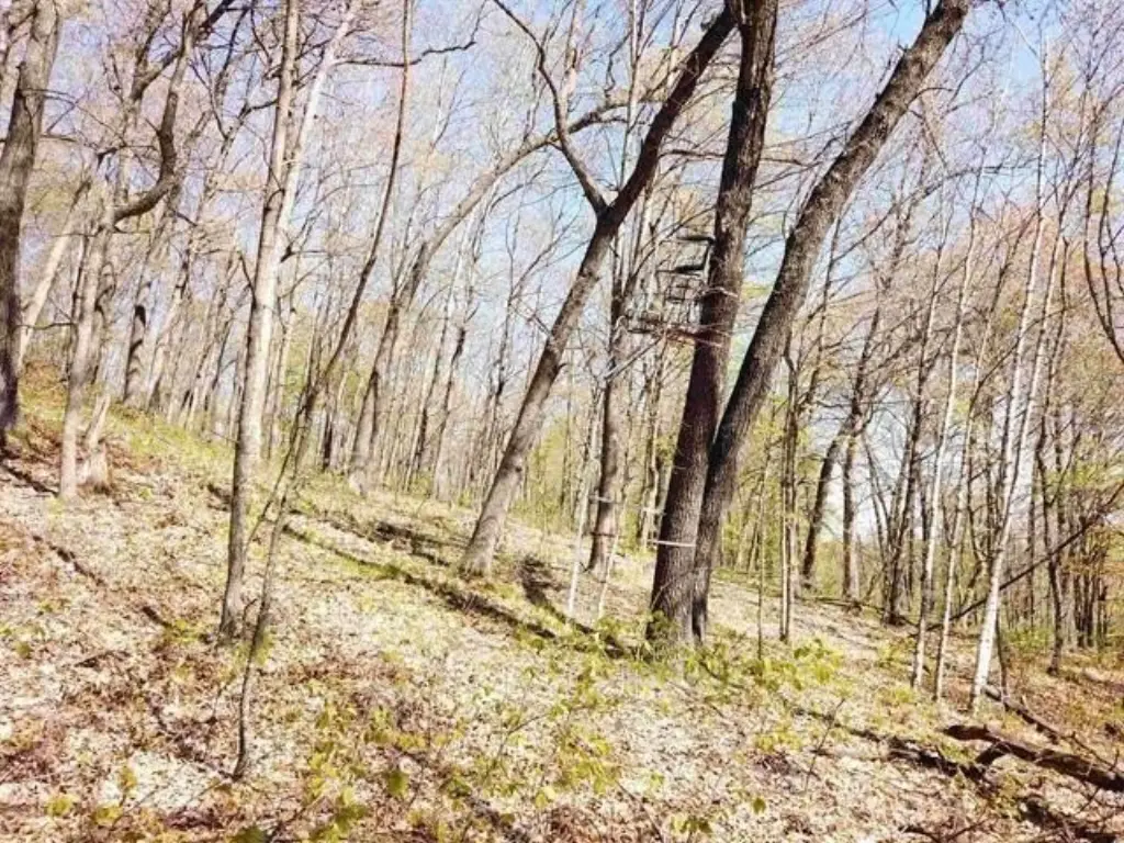 Picture 16