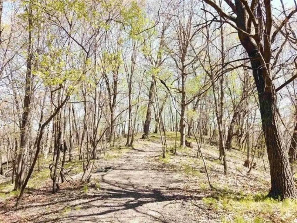 Picture 4