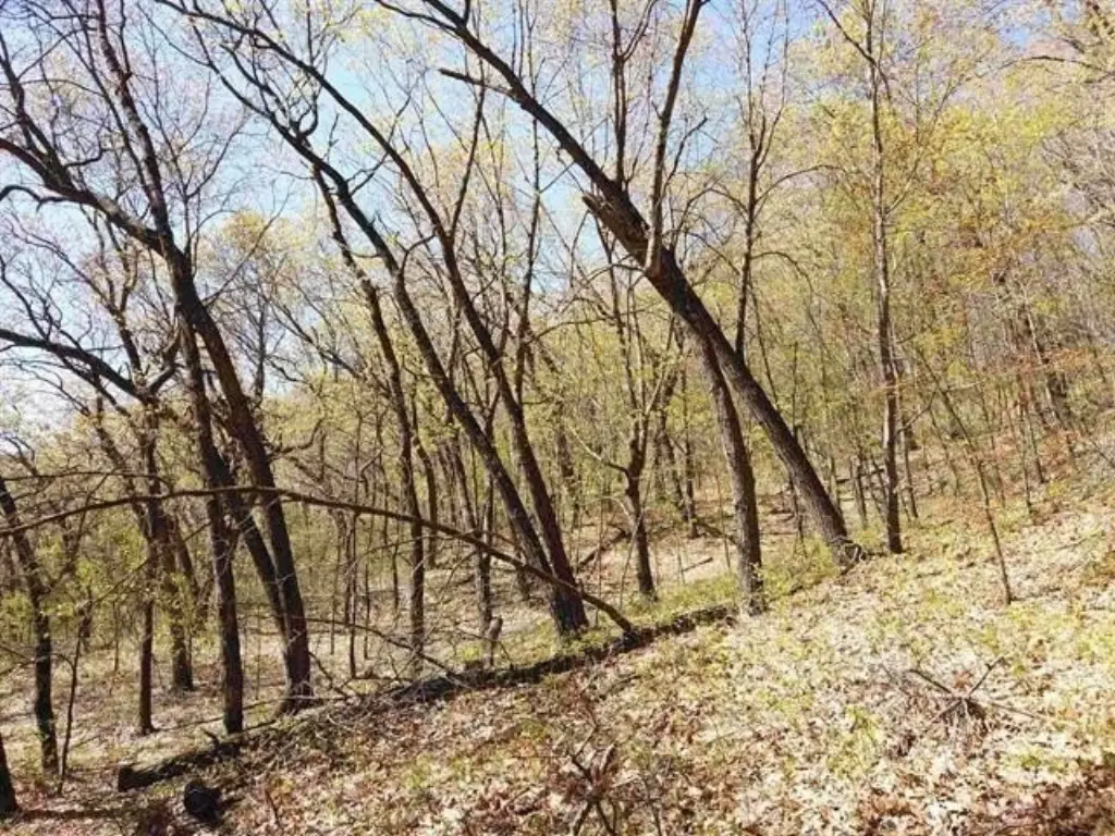 Picture 17