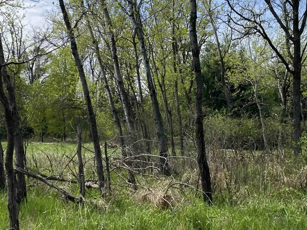 Picture 18