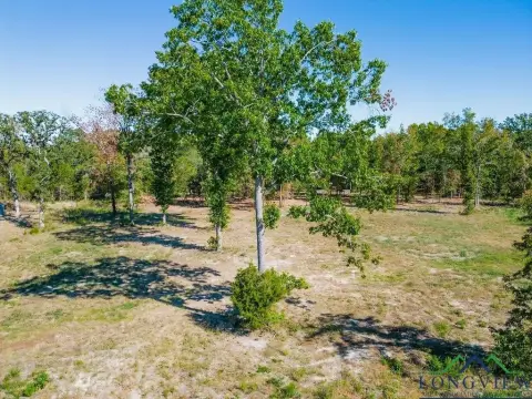 Residential Lot in Big Sandy, TX