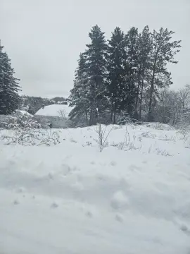 Residential Lot in Limestone, ME