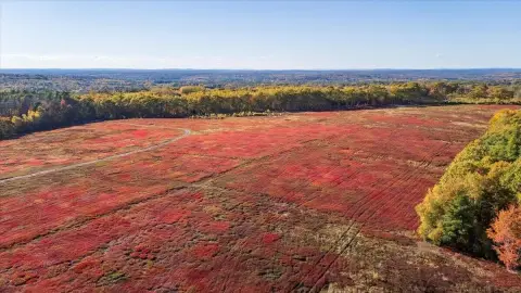 Whitefield Land with Blueberry Fields