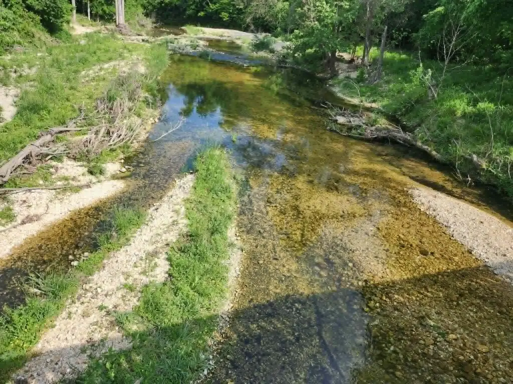 Picture 9
