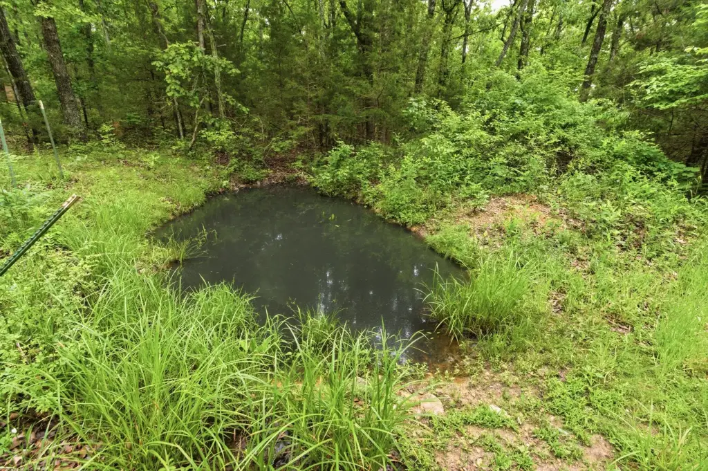 Picture 32