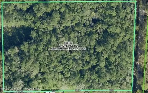 Brooksville Land with Pond