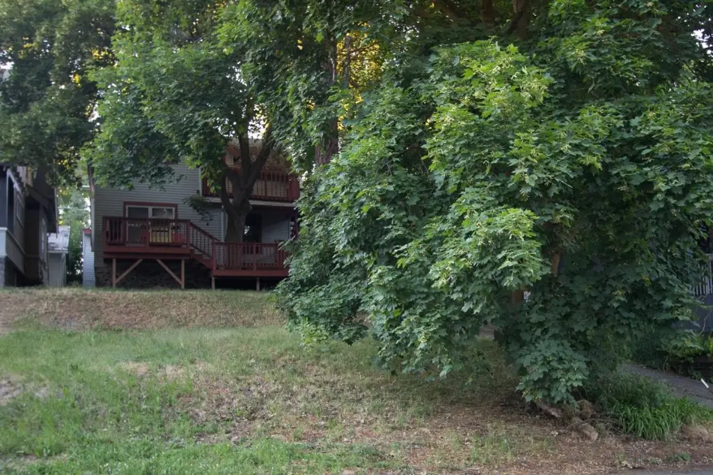 Picture 29