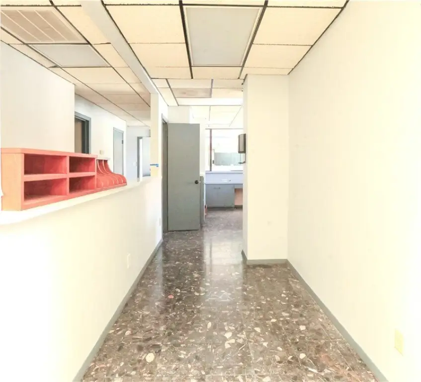 Picture 16