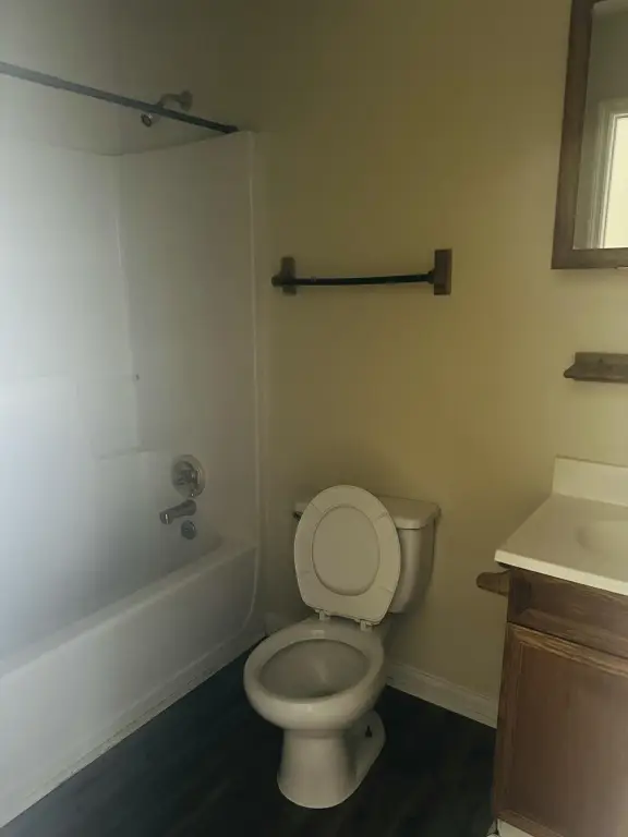 Picture 7