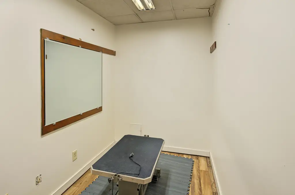 Picture 17